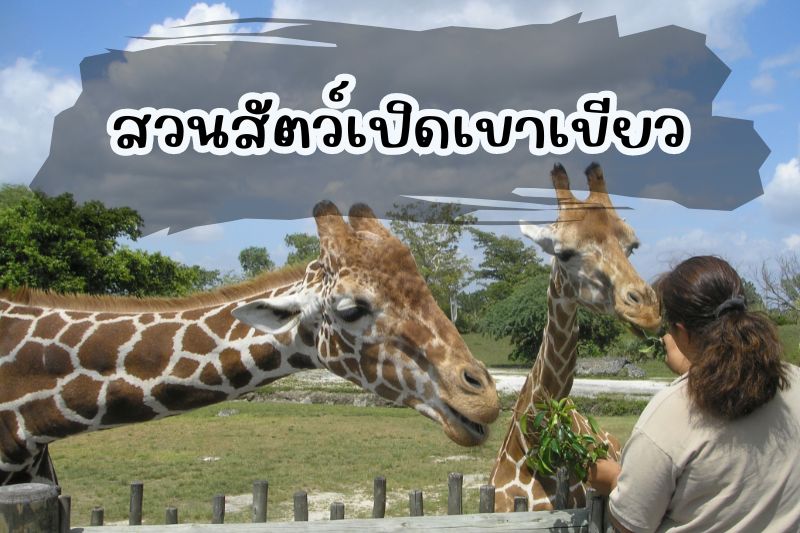 สวนสัตว์เปิดเขาเขียว